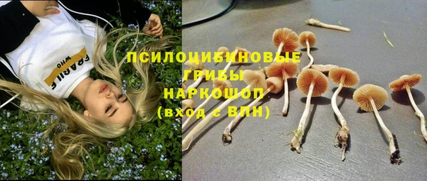 не бодяженный Магадан